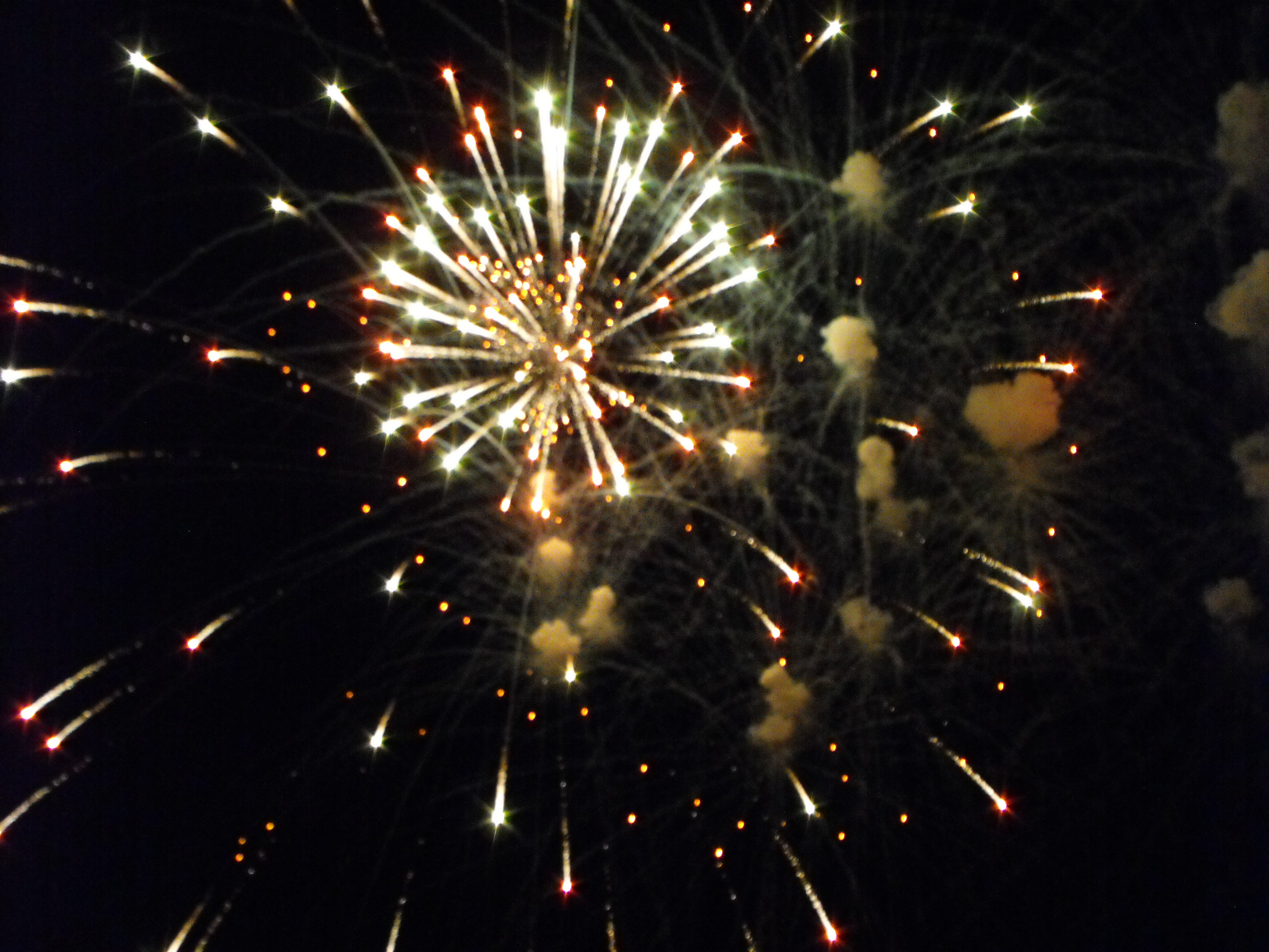 ./2010/Fourth of July/4th July Fireworks Wilm 0053.JPG